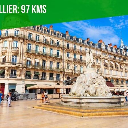 L'Olivier - 2 Terrasses - Clim Ac - Wifi - Proche Theatres Apartment Авиньон Екстериор снимка