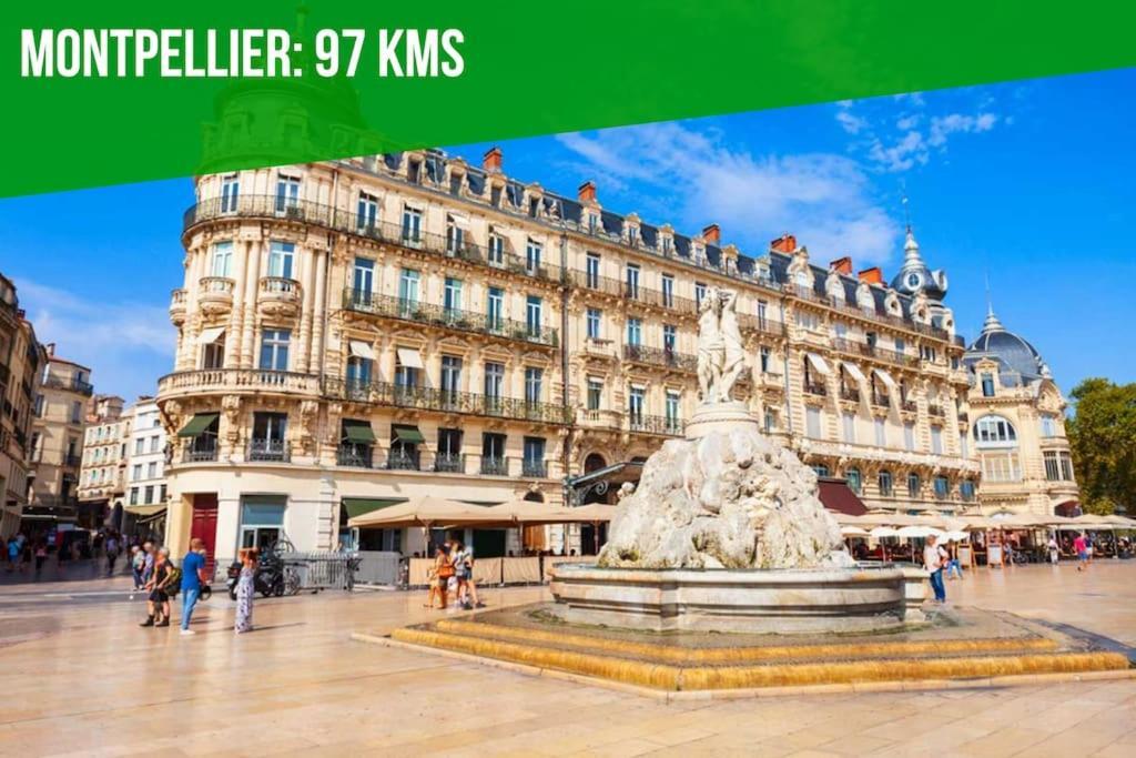 L'Olivier - 2 Terrasses - Clim Ac - Wifi - Proche Theatres Apartment Авиньон Екстериор снимка
